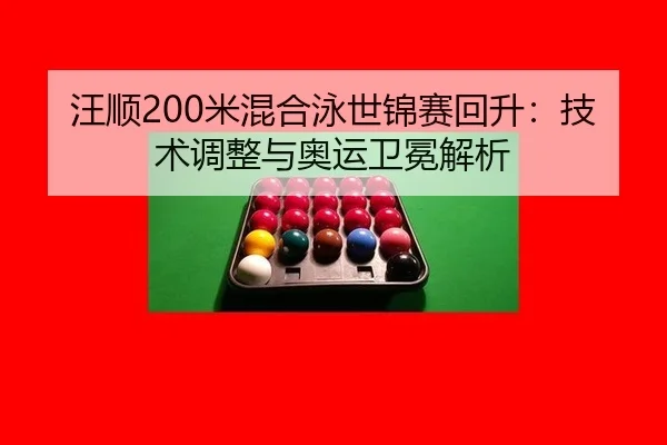 wang-shun-mi-hun-he-yong-shi-jin-sai-hui-sheng-ji-shu-tiao-zheng-yu-ao-yun-wei-mian-jie-xi-2-509.jpg